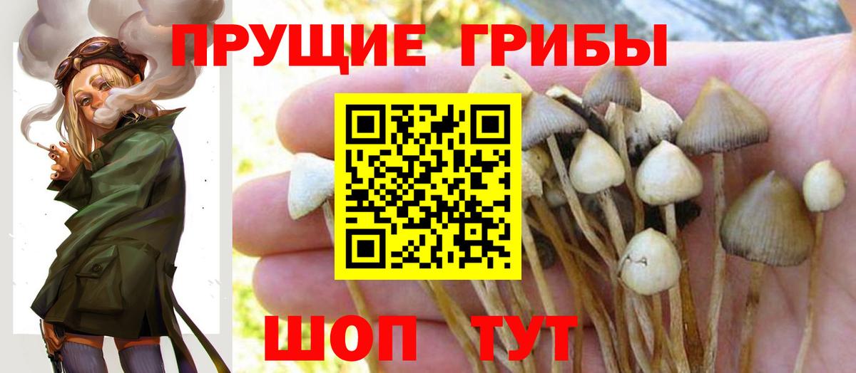 Псилоцибиновые грибы мухоморы Дубна