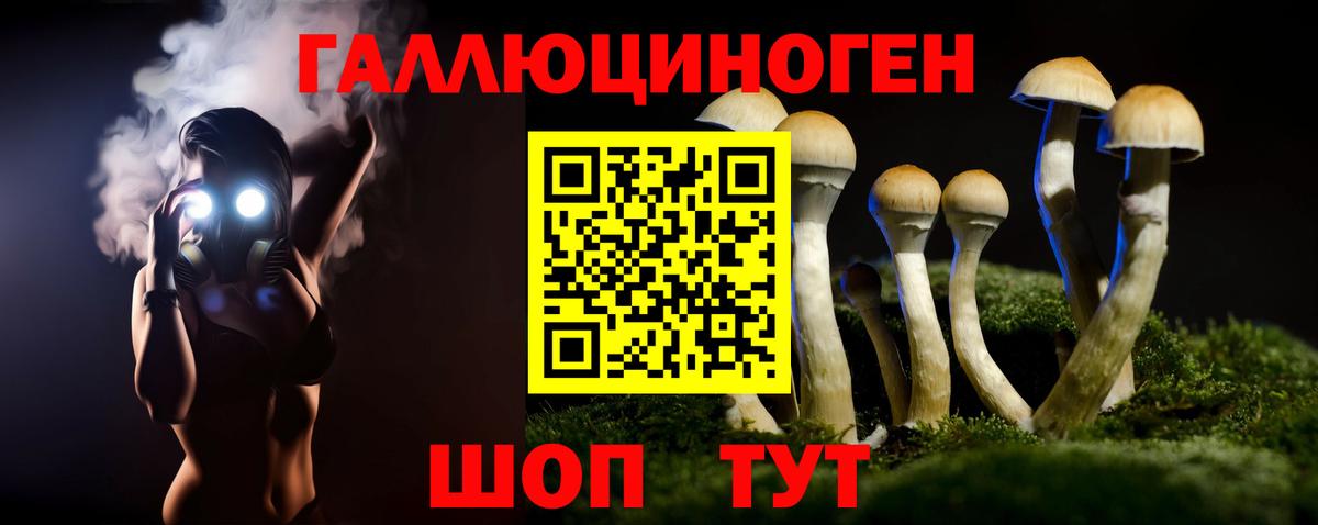 Дубна  Галлюциногенные грибы Magic Shrooms  Вход с VPN 